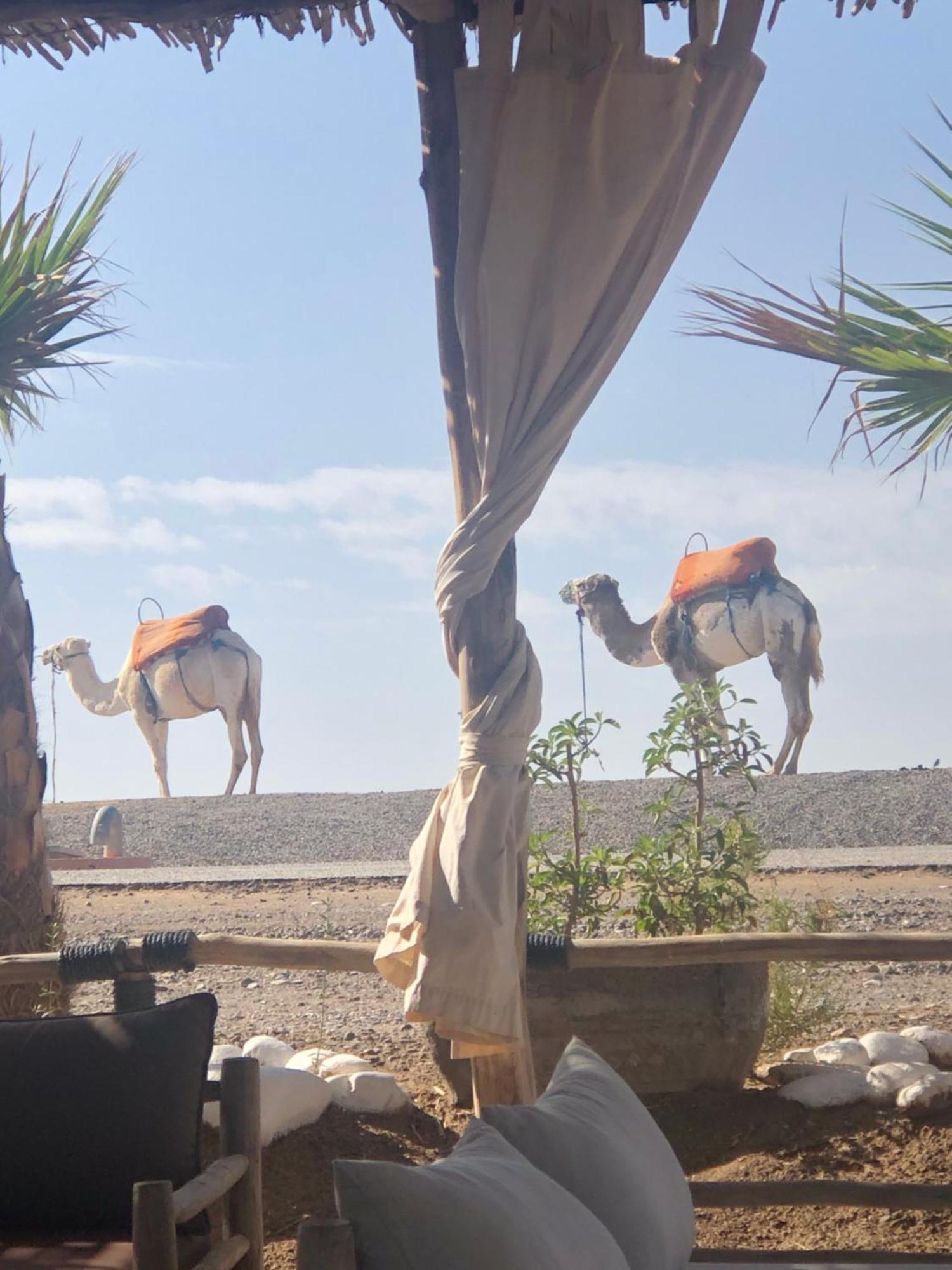 Riad Abbassia Marrakech Premiere مراكش المظهر الخارجي الصورة
