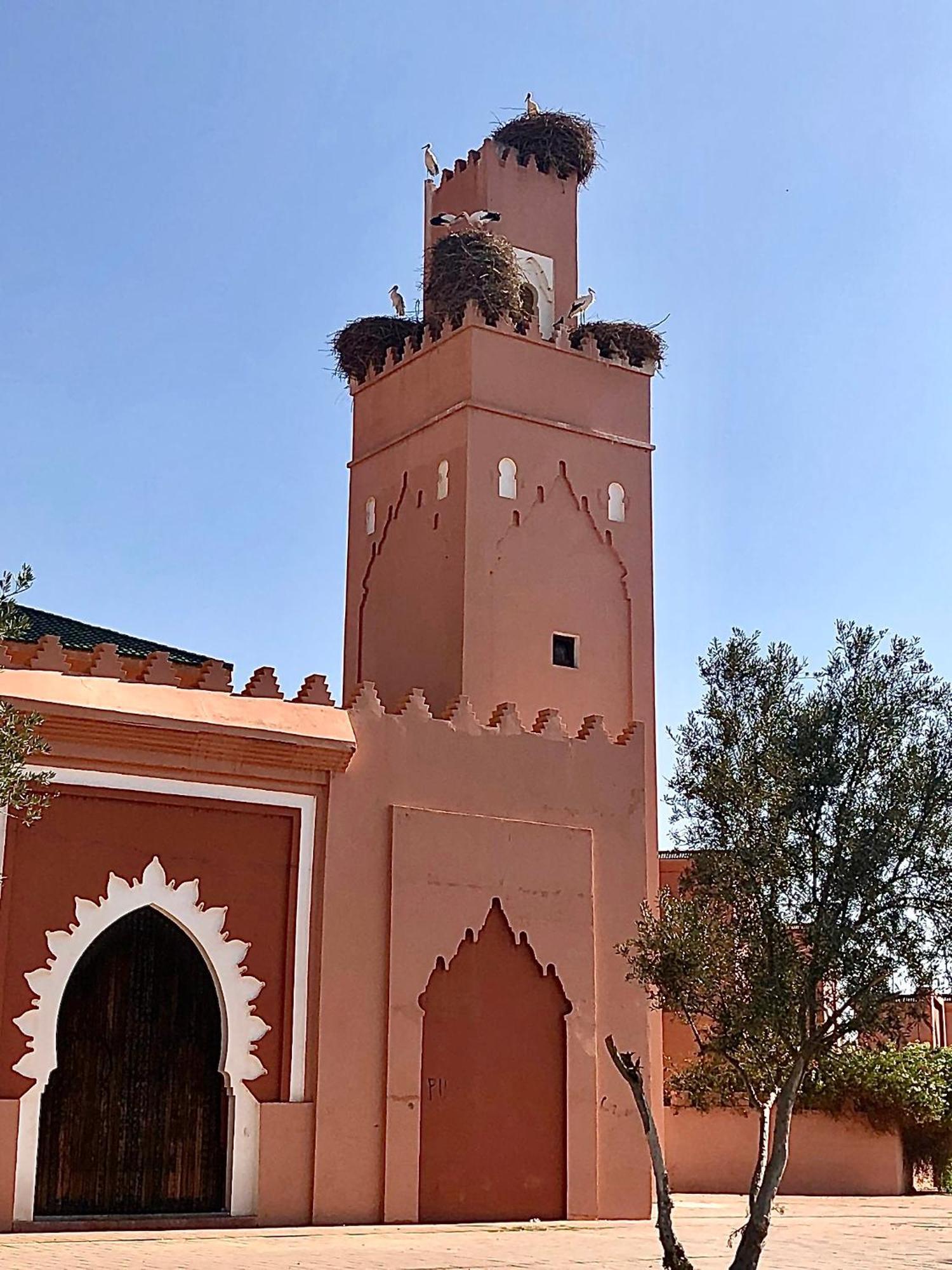 Riad Abbassia Marrakech Premiere مراكش المظهر الخارجي الصورة